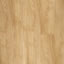 Texture free Wood (free)