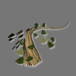 3D grape vine ( rwx free ) 3D grape vine ( rwx free )