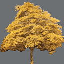 sprite tree free ( rwx free )