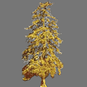 sprite tree free ( rwx free )