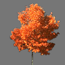 sprite tree free ( rwx free )