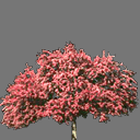 sprite tree free ( rwx free )