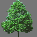 sprite tree free ( rwx free )