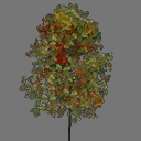 sprite tree free ( rwx free )